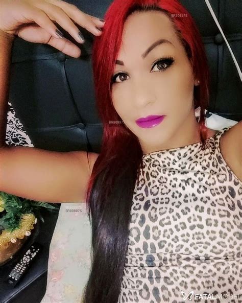 travesti de programa caraguatatuba|Acompanhantes Trans e Travestis em Caraguatatuba